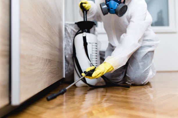 Best Mosquito Control Services  in Tipton, MO