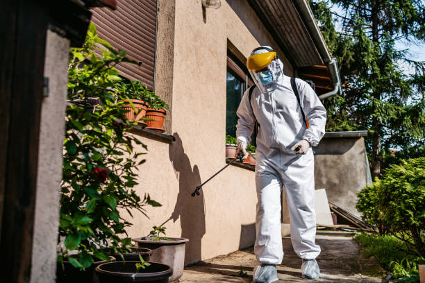 Best Pest Removal Services  in Tipton, MO