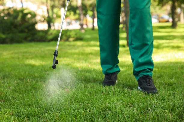 Best Best Pest Control Companies  in Tipton, MO