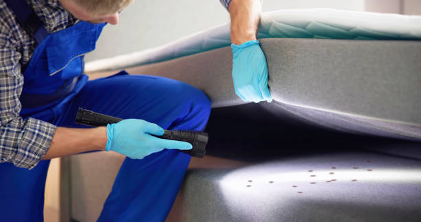 Best Best Pest Control Near Me  in Tipton, MO