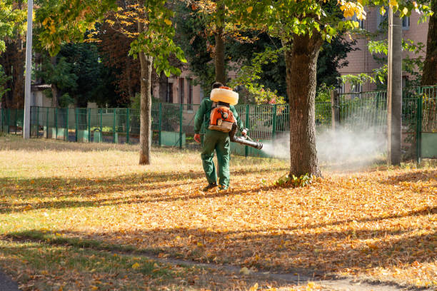 Best Pest Prevention Services  in Tipton, MO