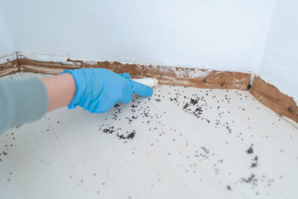 Best Residential Pest Control  in Tipton, MO